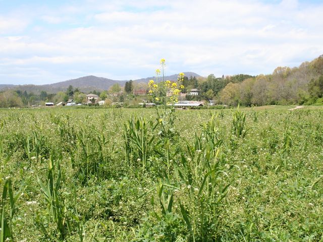 Photo of Warren Wilson College