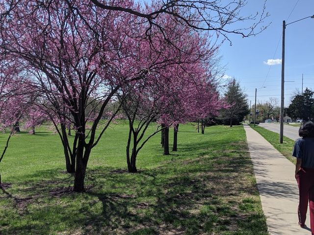 Photo of Washburn University