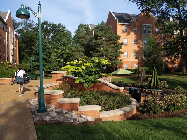 Photo of Washington University in St Louis