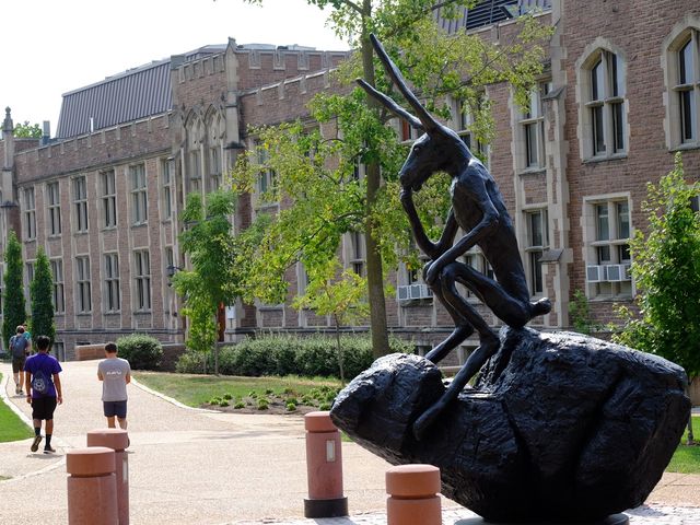 Photo of Washington University in St Louis