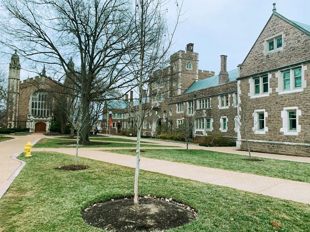 Photo of Washington University in St Louis