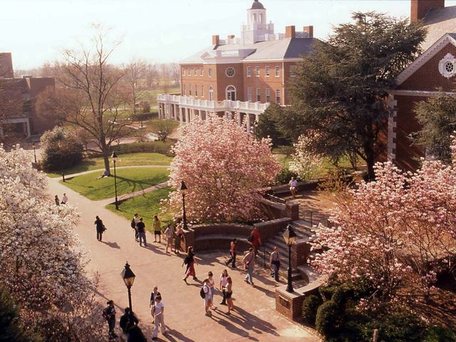Photo of Washington College
