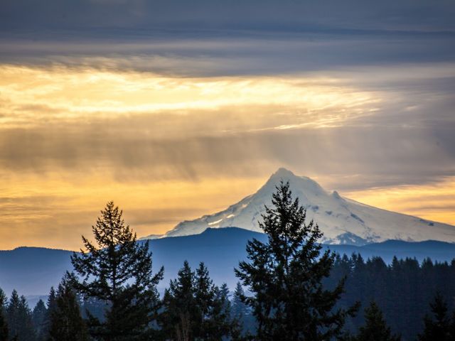 Photo of Washington State University-Vancouver