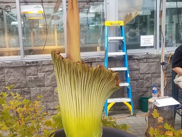 Photo of Washington State University-Vancouver