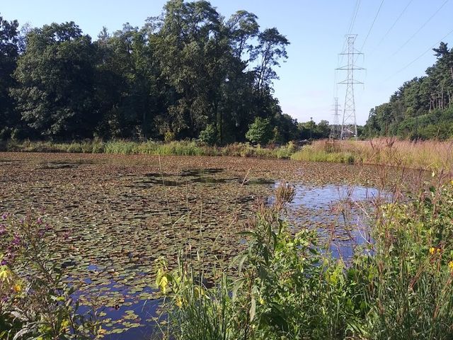 Photo of Washtenaw Community College