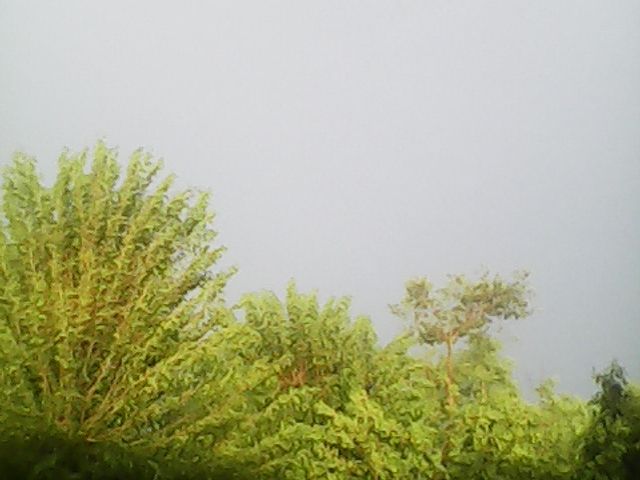 Photo of Weatherford College