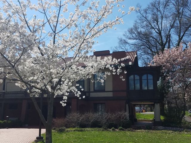 Photo of Webster University