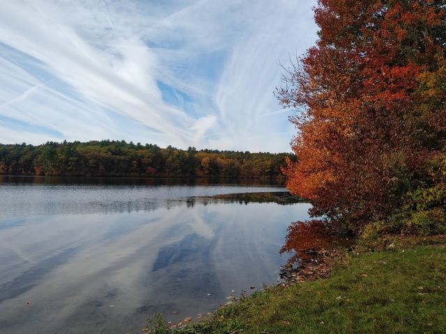 Photo of Wellesley College
