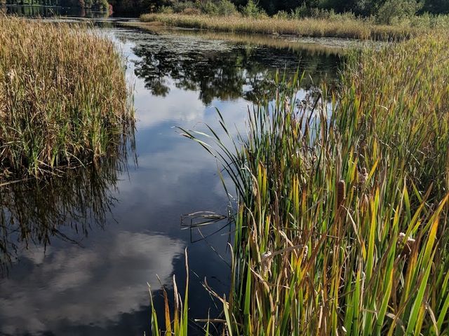 Photo of Wellesley College