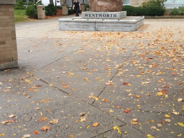 Photo of Wentworth Institute of Technology