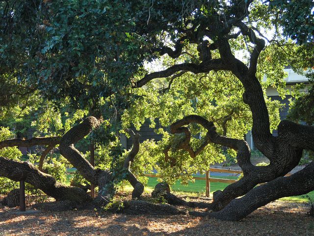 Photo of West Valley College