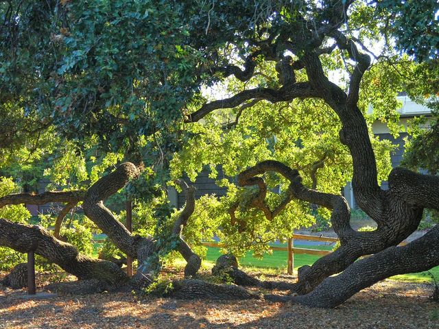 Photo of West Valley College