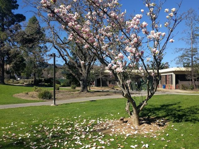 Photo of West Valley College