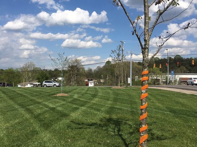 Photo of West Virginia University at Parkersburg