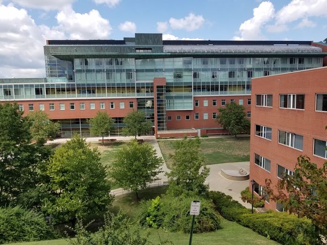 Photo of West Virginia University