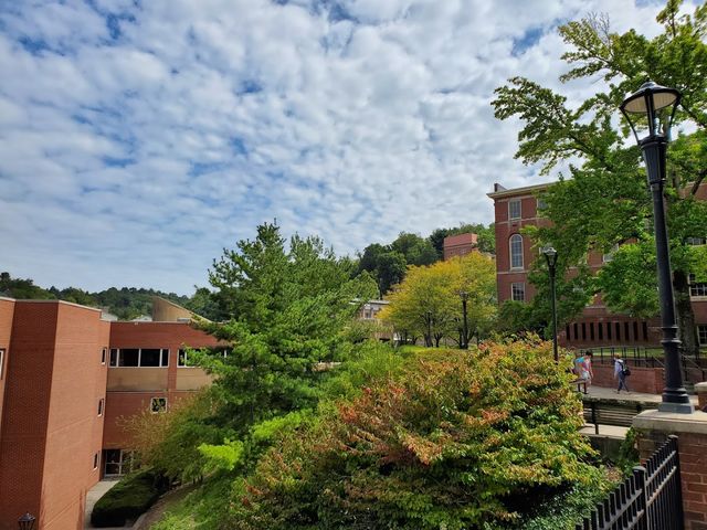 Photo of West Virginia University