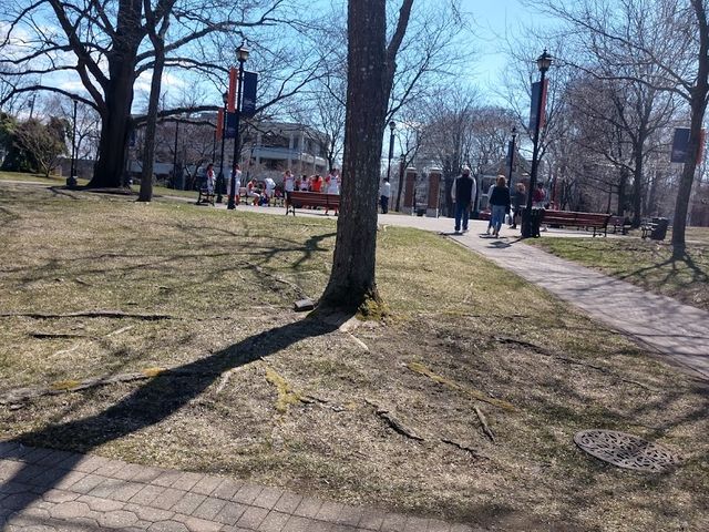 Photo of Western Connecticut State University