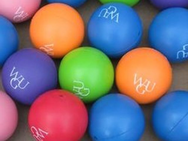 Photo of Western Governors University