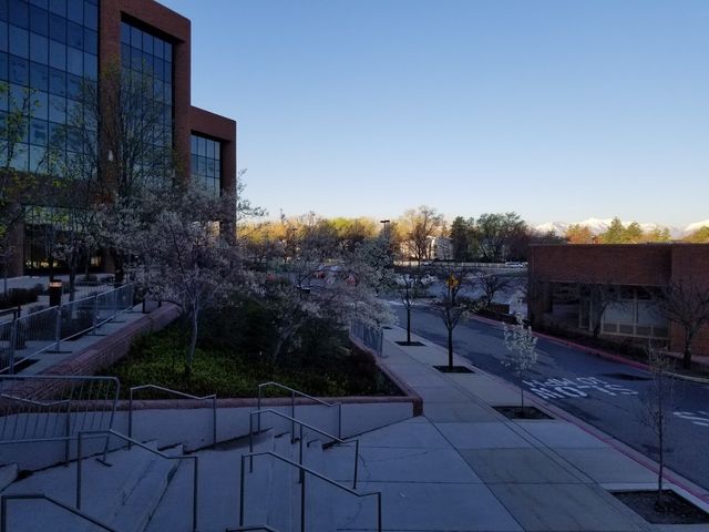 Photo of Western Governors University
