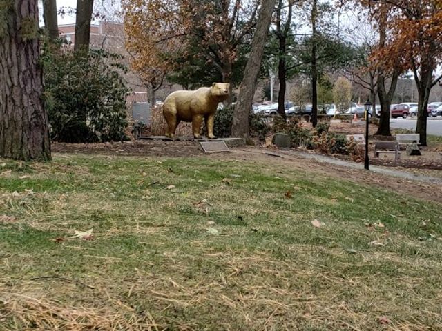 Photo of Western New England University