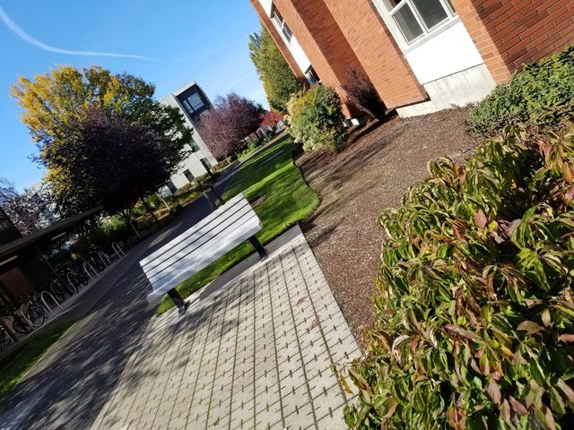 Photo of Western Oregon University