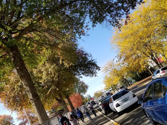 Photo of Western Oregon University