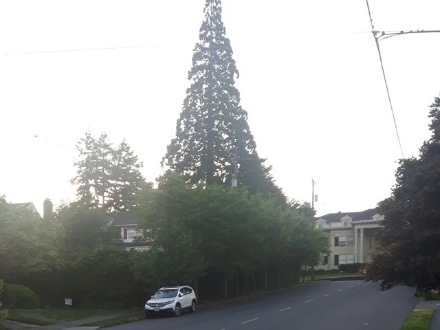 Photo of Western Seminary