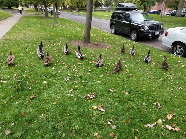 Photo of Whitman College