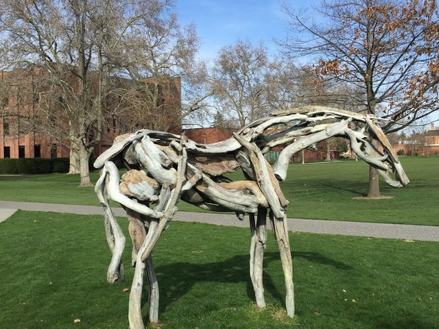 Photo of Whitman College