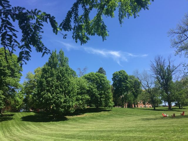 Photo of Wittenberg University