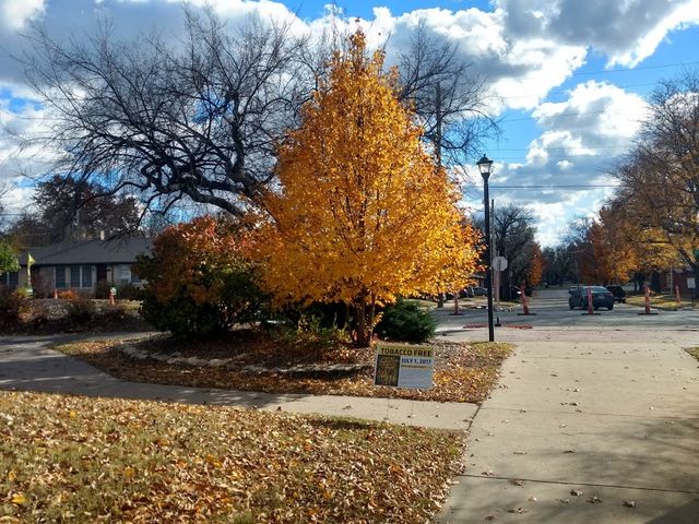 Photo of Wichita State University