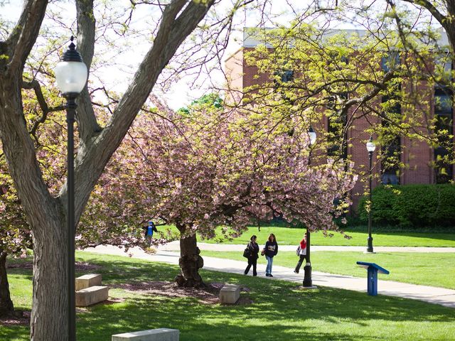 Photo of Widener University