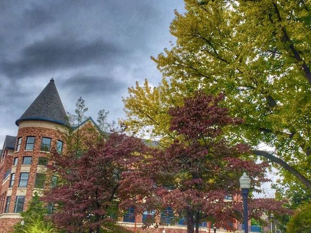 Photo of Wilkes University