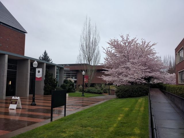 Photo of Willamette University