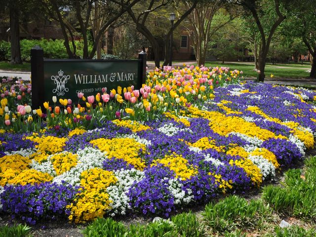 Photo of William & Mary