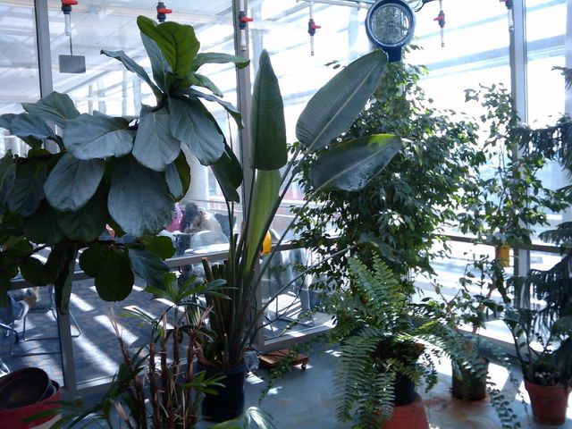 Photo of William Rainey Harper College