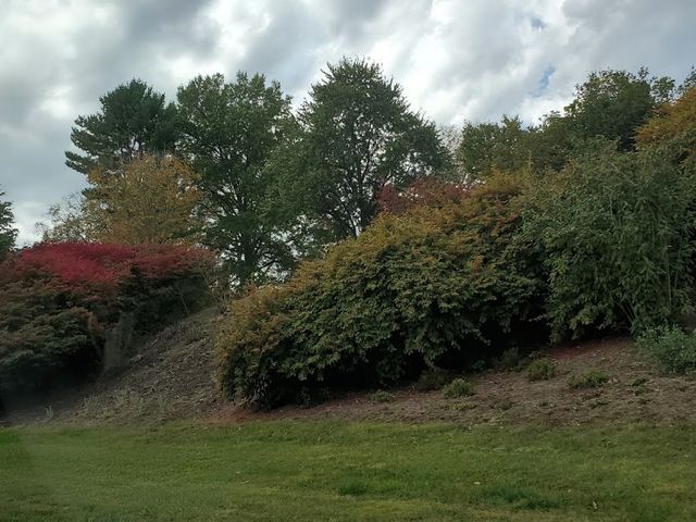 Photo of Williamson College of the Trades