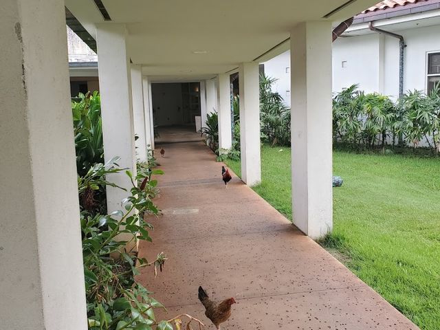 Photo of Windward Community College