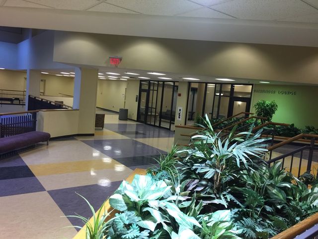 Photo of Wright State University-Main Campus