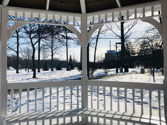 Photo of Wright State University-Main Campus