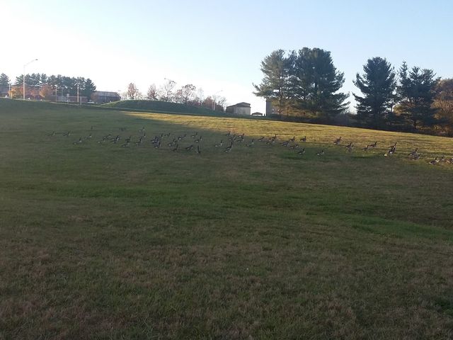 Photo of Wytheville Community College