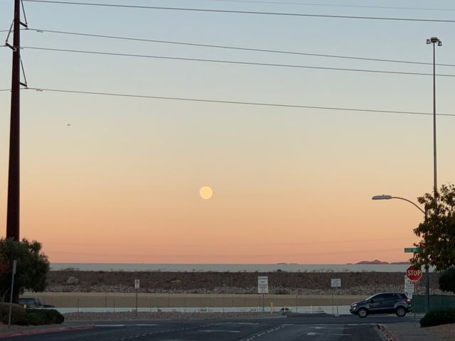 Photo of Touro University Nevada