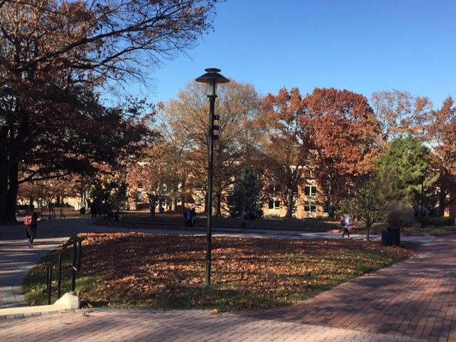 Photo of Towson University