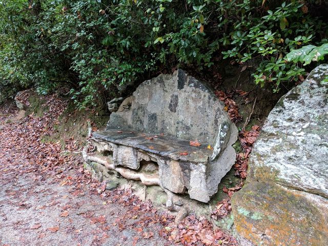 Photo of Toccoa Falls College