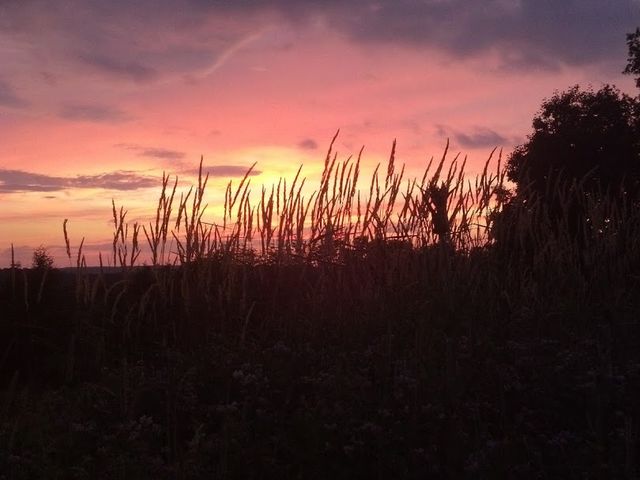 Photo of Tompkins Cortland Community College