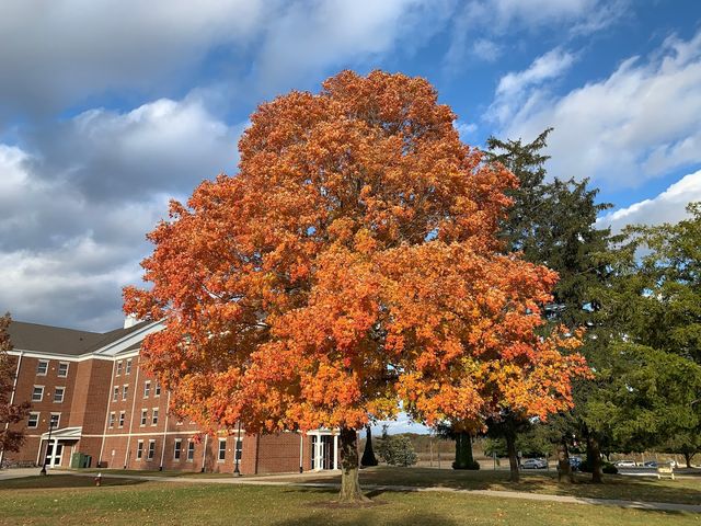 Photo of Taylor University