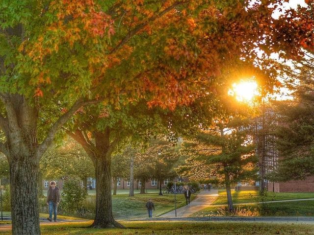 Photo of Taylor University