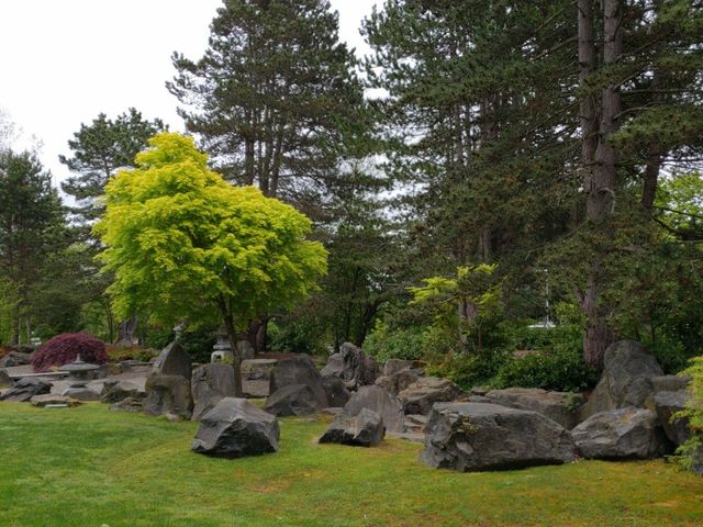 Photo of Tacoma Community College