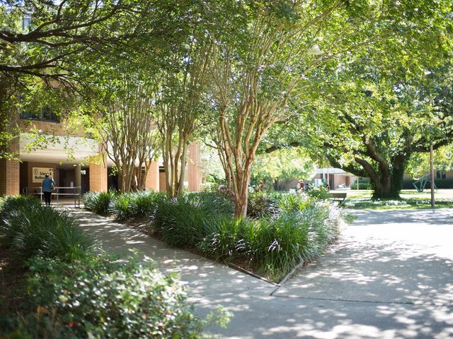 Photo of Tallahassee Community College