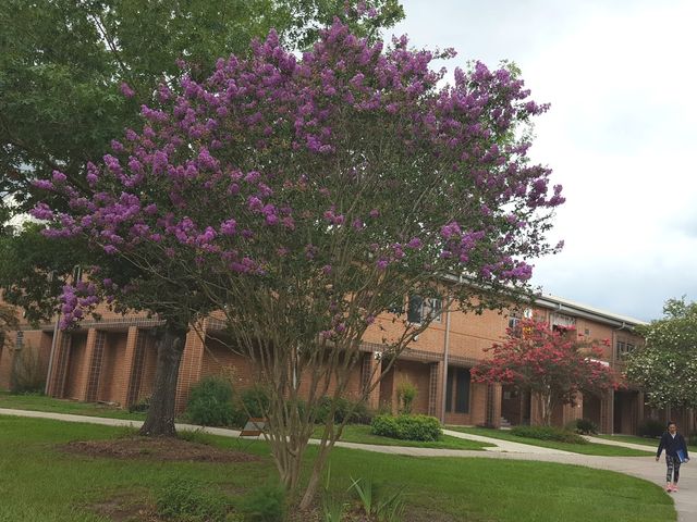 Photo of Tallahassee Community College